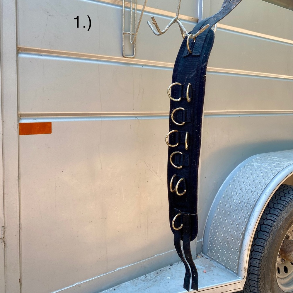 Black Horse Pony Surcingal Training Tack